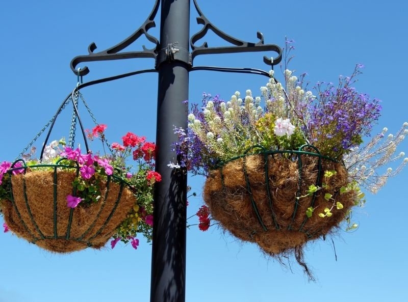 Muschio Di Sfagno A Fibra Lunga 6L Per Orchidee E Piante Carnivore - Substrato Naturale, Buona Ritenzione Idrica, Durevole