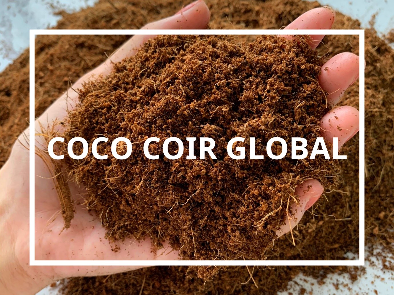 What is Coco Coir? - Definition and Advantages - Coco Coir Global Vietnam