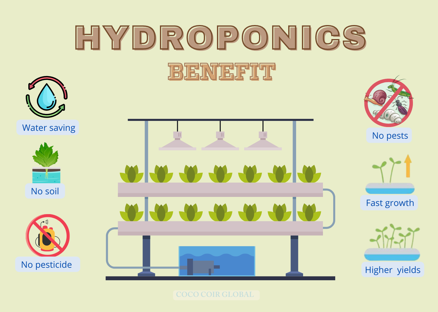 Coco Coir for Hydroponic: Advantages Of Using Coco Coir
