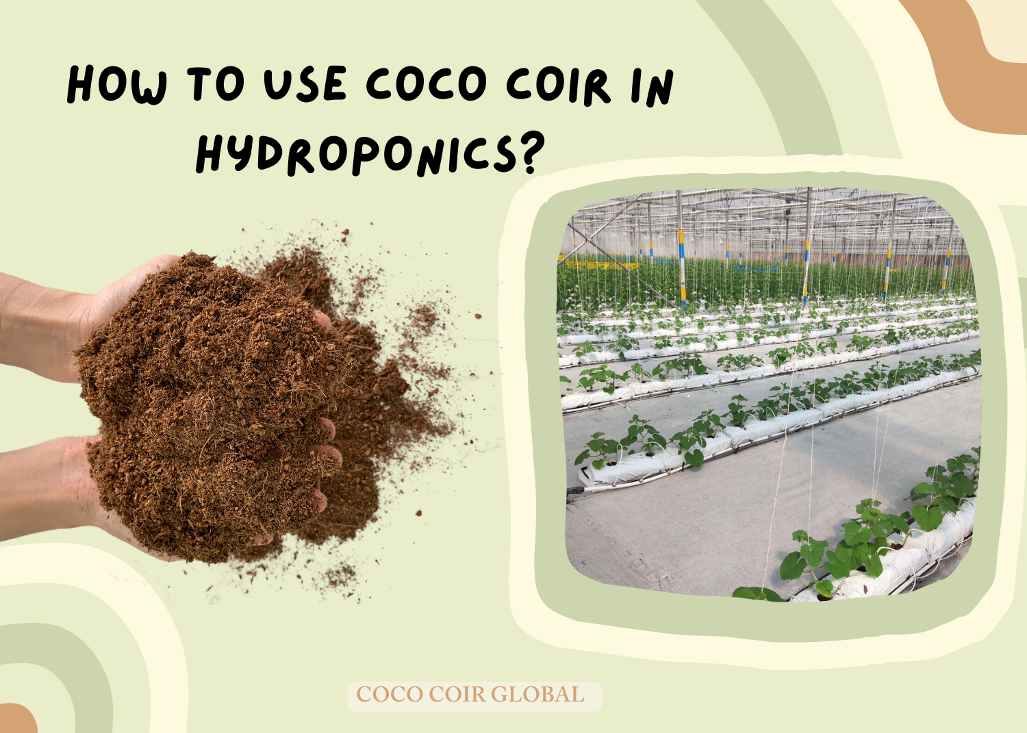 How to use Coco Coir in hydroponics