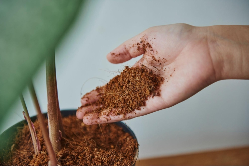 Using Coco Coir in Hydroponic Garden and Mulching