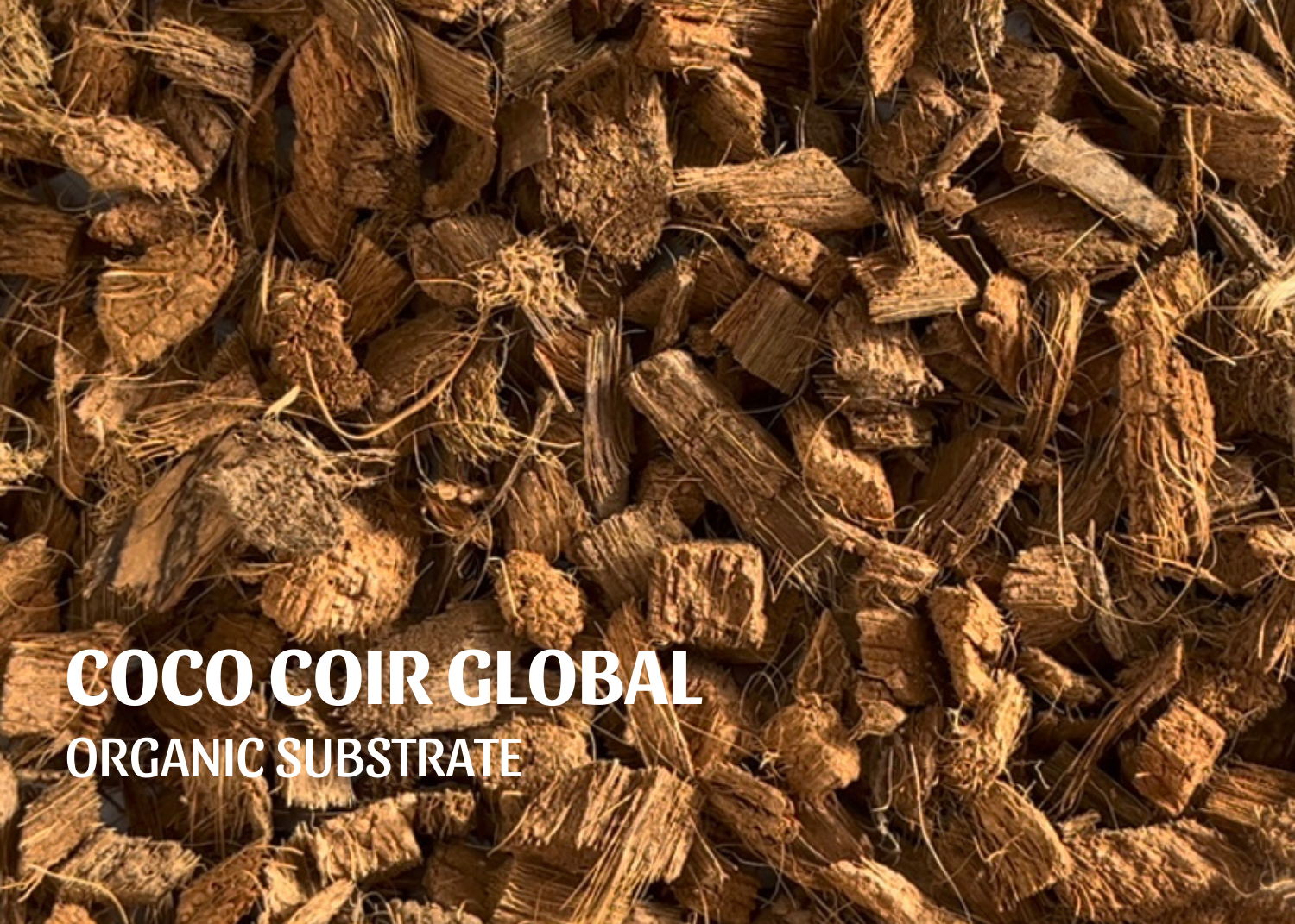 coco-coir-products-coco-coir-global