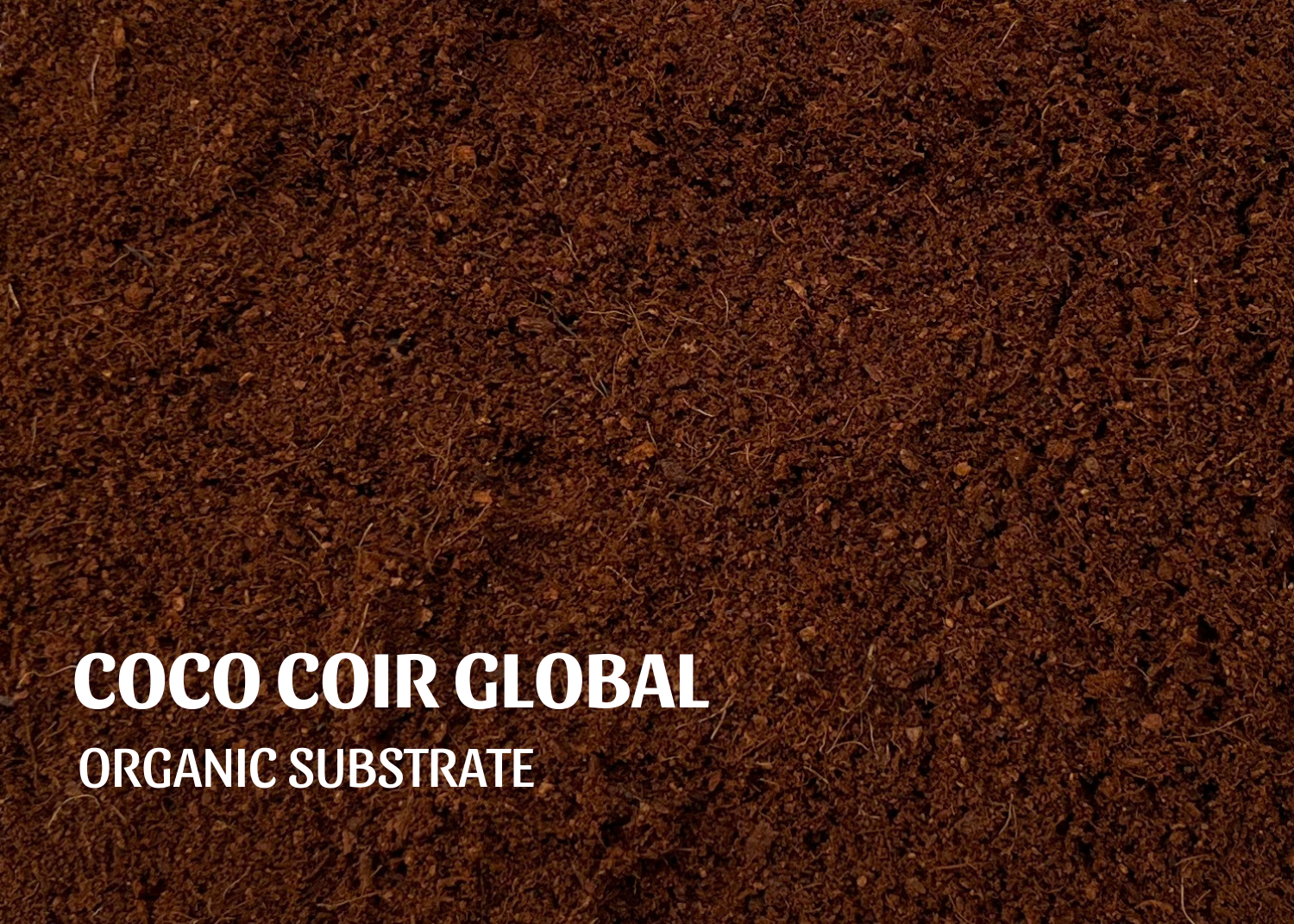 coco-peat-manufacturer-viet-nam-coco-coir-global