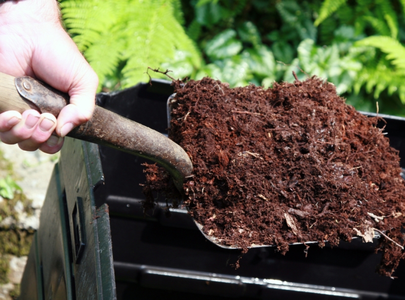 APPLICATIONS OF COCO COIR IN ORGANIC FERTILIZER PRODUCTION