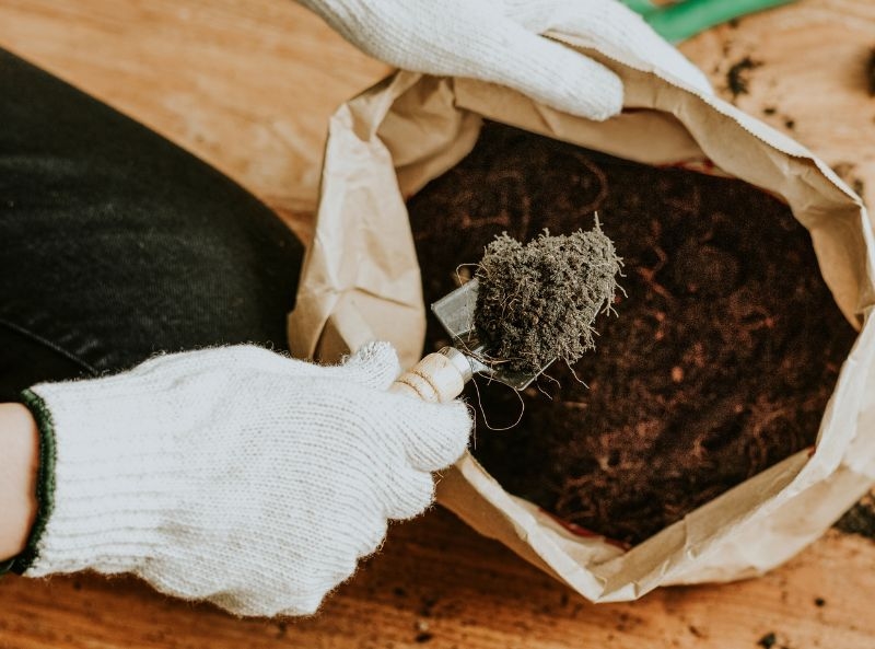 Using Coconut Fiber in Combination with Soil or Nutrients 
