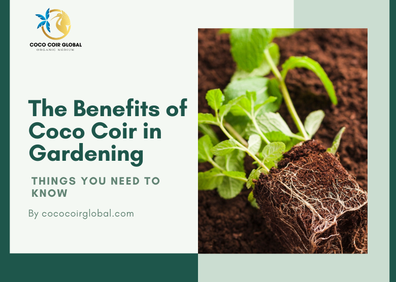 The Benefits of Coco Coir
