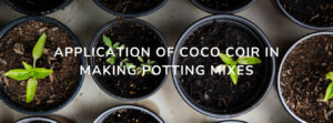 APPLICATION OF COCO COIR IN MAKING POTTING MIXES