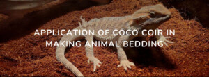 APPLICATIONS OF COCO COIR IN MAKING ANIMAL BEDDINGS