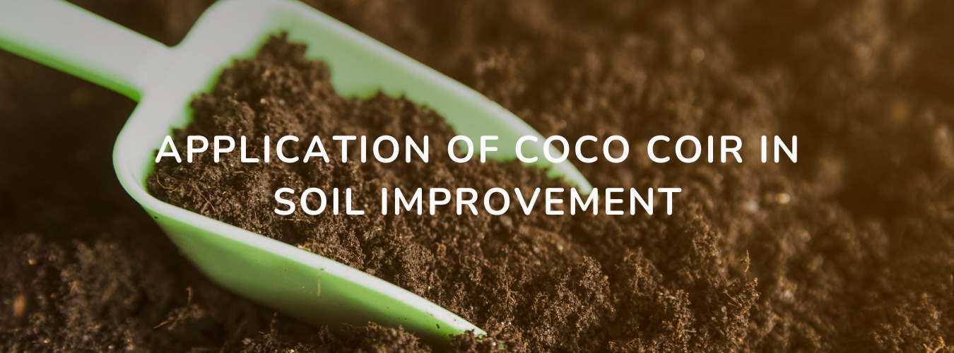 APPLICATIONS OF COCO COIR IN SOIL IMPROVEMENT