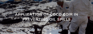 APPLICATION OF COCO COIR IN PREVENTING OIL SPILLS