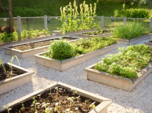 Small-scale farming or garden farming
