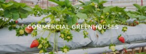 commercial-greenhouses cococoirglobal