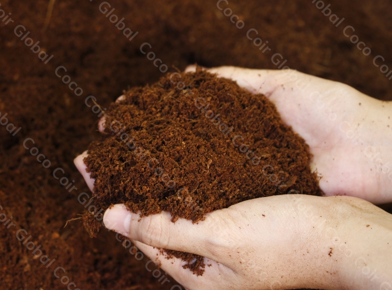 Coir is produced from coconut shells and is widely used as a growing medium