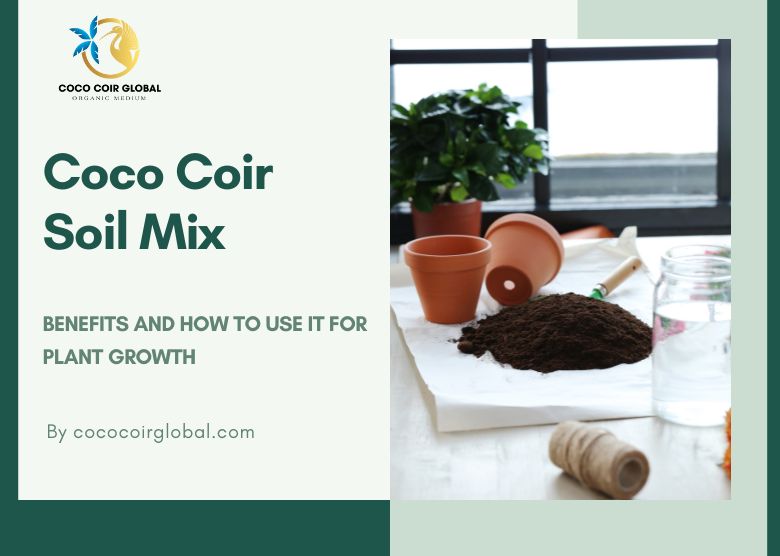 Coco Coir Soil Mix: Benefits and How to Use It for Plant Growth