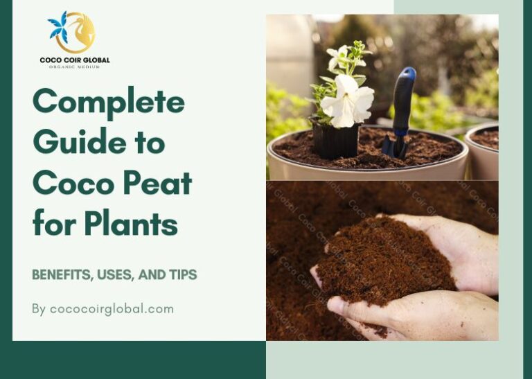Coco Peat for Plants Uses and Benefits of Coco Peat
