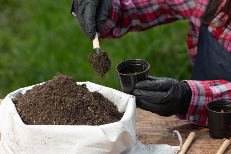 Using Coco Peat and Coco Coir for Potting Mixes 