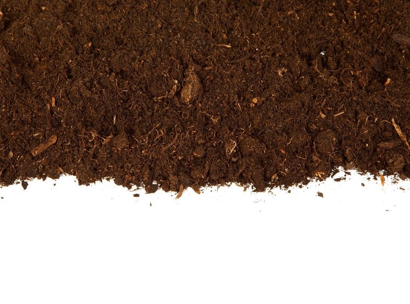 Tips for Using Coco Coir Soil Mix in Planters and Gardens 