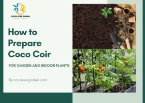 How to Prepare Coco Coir for Garden and Indoor Plants
