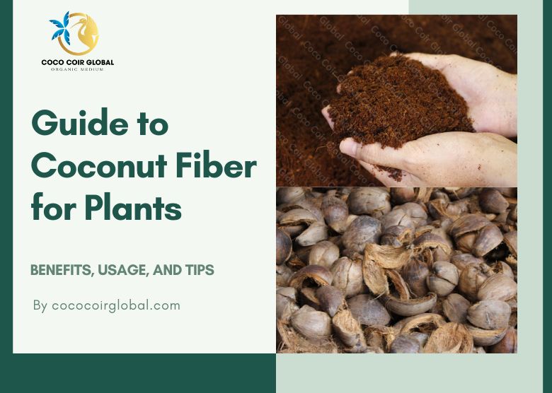The Ultimate Guide to Coconut Fiber for Plants: Benefits, Usage, and Tips