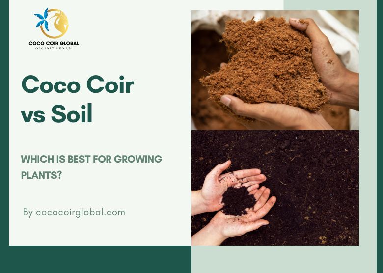 Coco Coir vs Soil