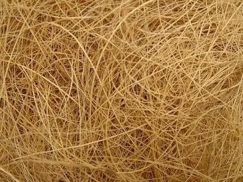 What is Coconut Coir and its Role as Mulch? https://textilelearner.net