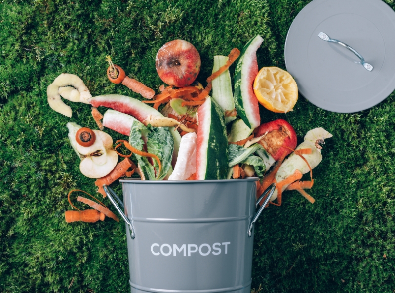 DIY Compost Accelerator Recipes 