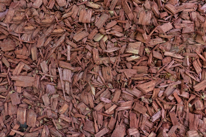 Wood-Based Materials: Bark and Wood Fiber as Eco-Friendly Options