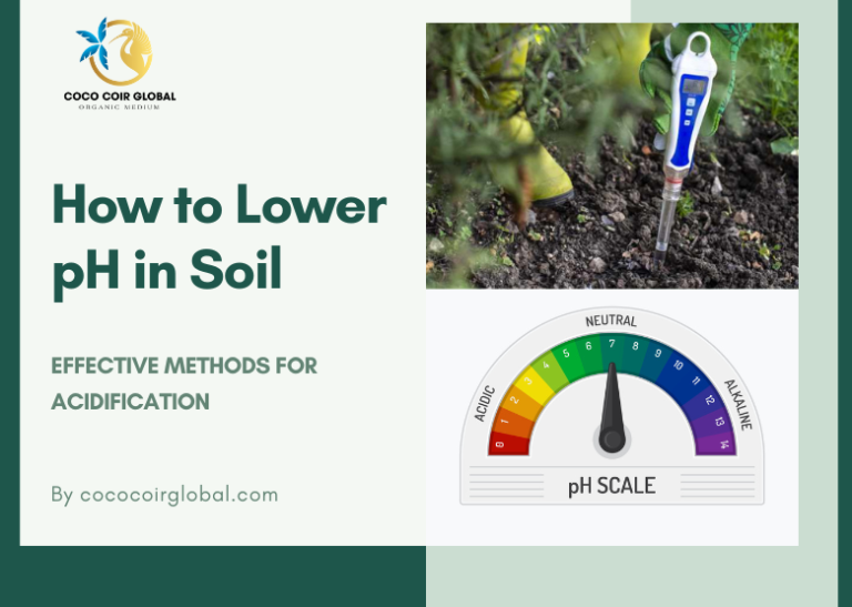 Top 7 Organic to Lower Soil pH Lower Soil pH
