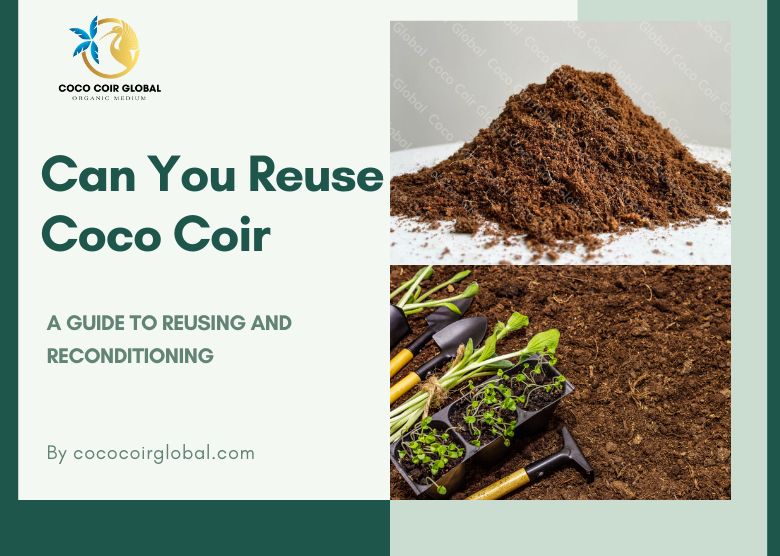 Can You Reuse Coco Coir