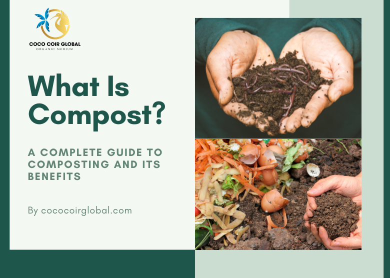 What Is Compost? A Complete Guide to Composting and Its Benefits