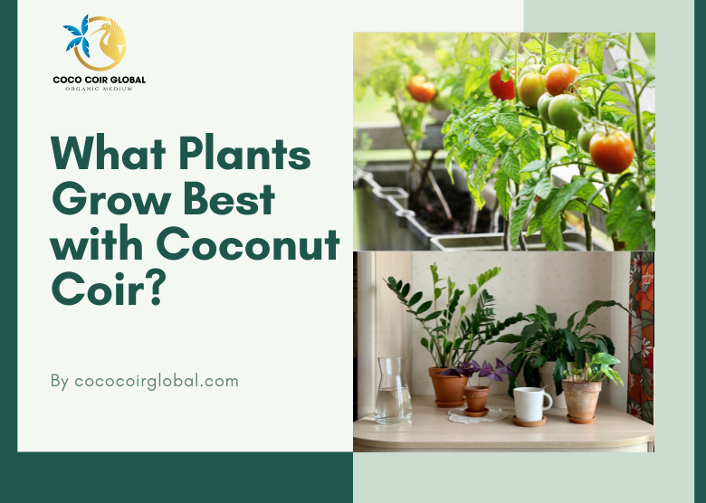 What Plants Grow Best with Coconut Coir