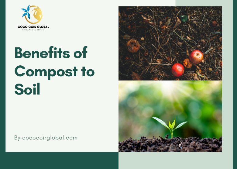 Maximizing the Benefits of Compost to Soil