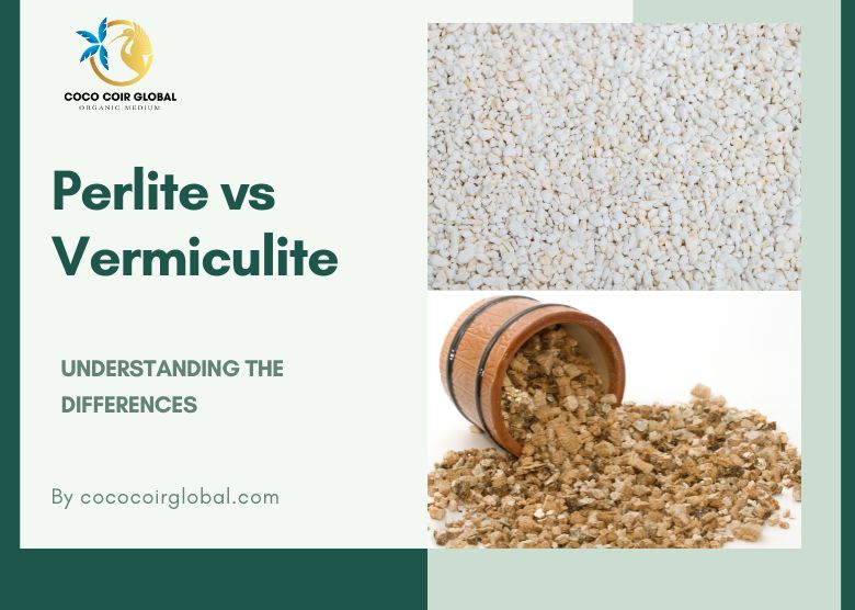 Understanding the Differences: Perlite vs Vermiculite