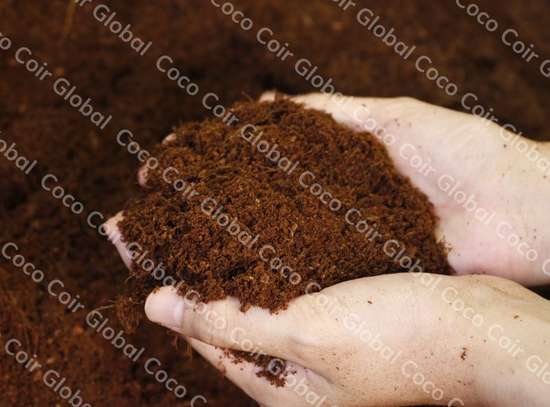The usage of coco peat: