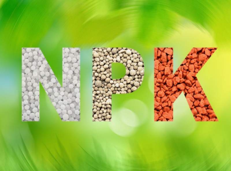 NPK compost nutrients