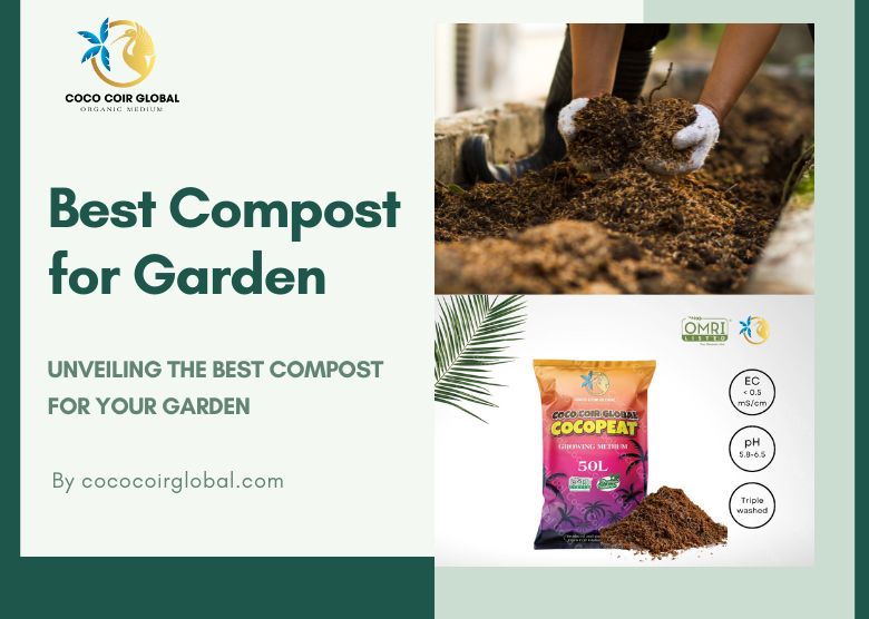 Best Compost for Garden