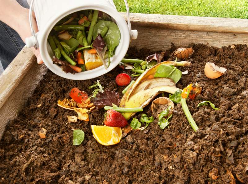 Compost benefits for plants