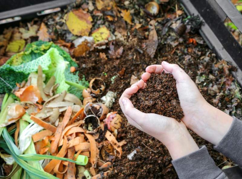Compost making at home