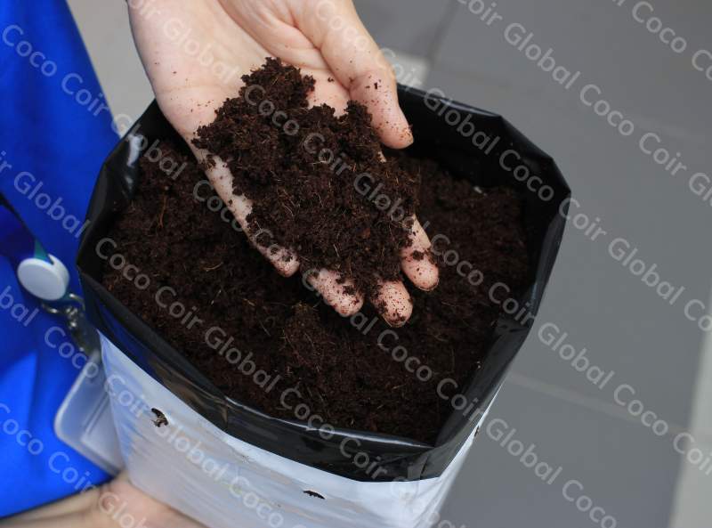high quality coir compost